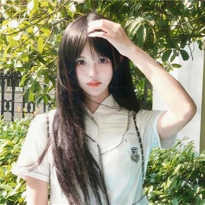 驯马(纪录片)